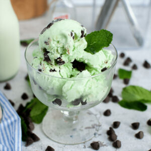 Mint Choc Chip